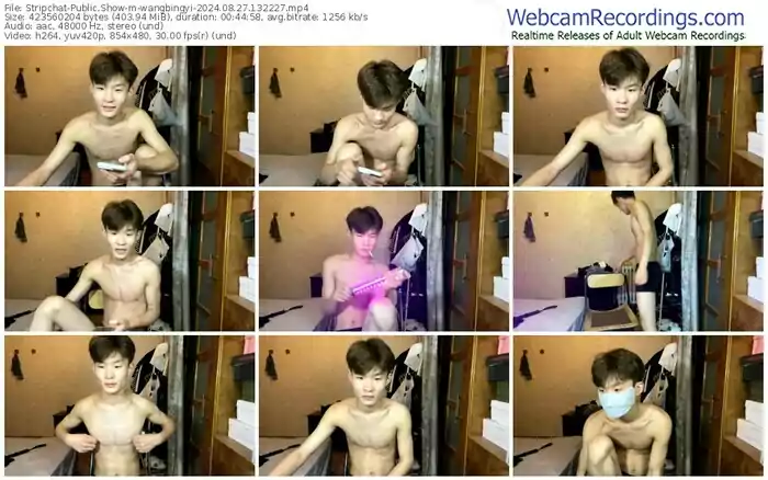 stripchat-wangbingyi-08-27-2024-13-22-27
