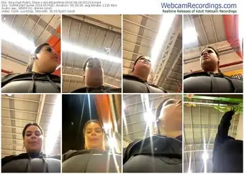 stripchat-alicestarshine-08-28-2024-00-12-14