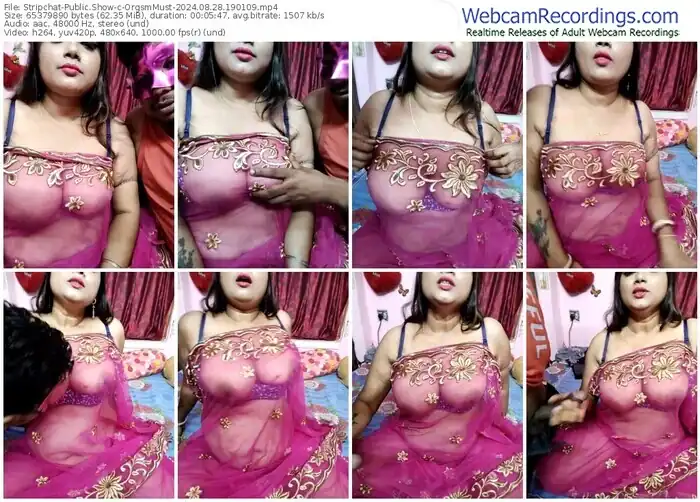 stripchat-orgsmmust-08-28-2024-19-01-09