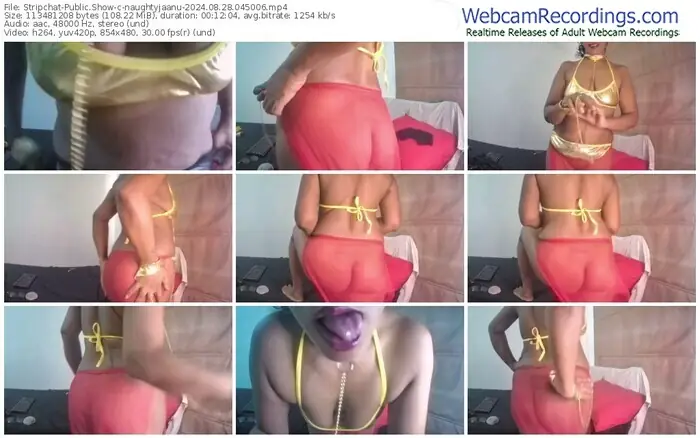 stripchat-naughtyjaanu-08-28-2024-04-50-06