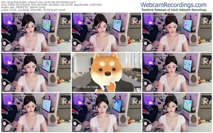 stripchat--ula--08-28-2024-00-30-49