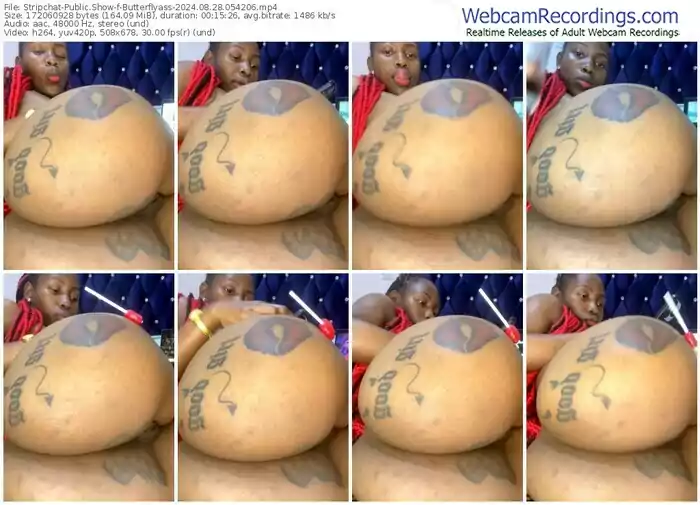 stripchat-butterflyass-08-28-2024-05-42-06