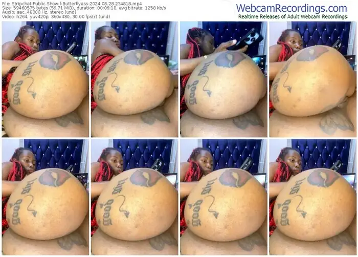 stripchat-butterflyass-08-28-2024-23-48-18