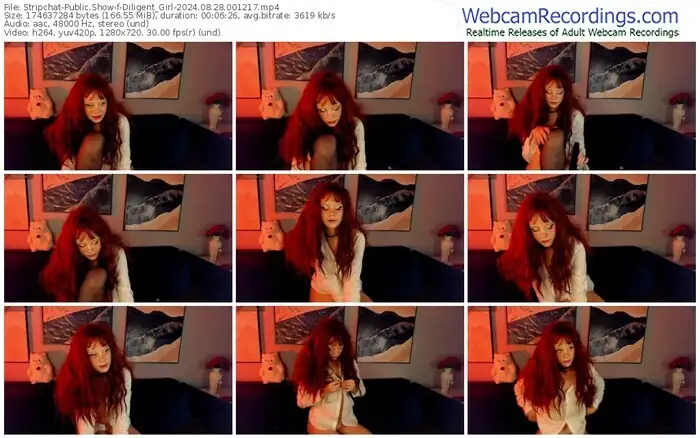 stripchat-diligent_girl-08-28-2024-00-12-17