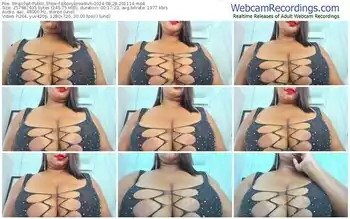 stripchat-ebonybreastvh-08-28-2024-20-11-14