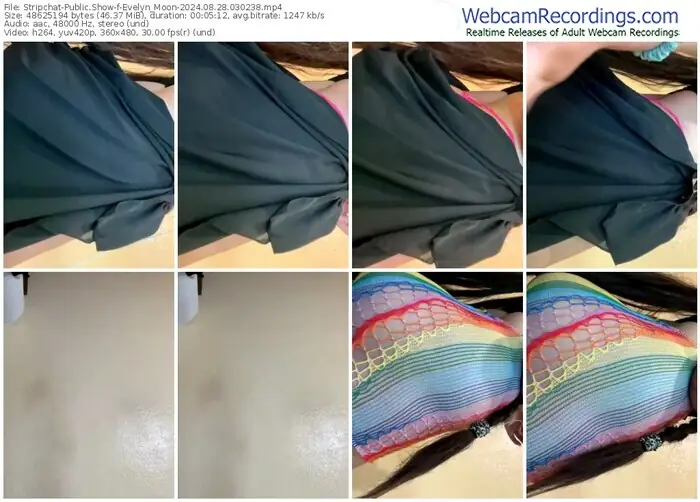 stripchat-evelyn_moon-08-28-2024-03-02-38