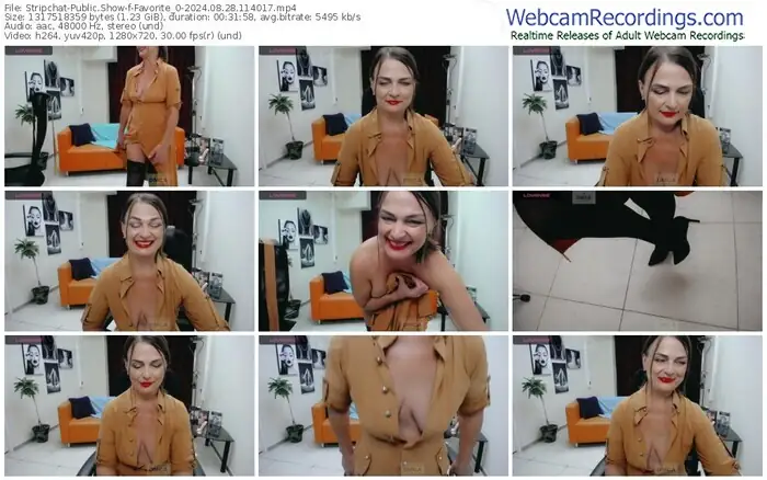stripchat-favorite_0-08-28-2024-11-40-17