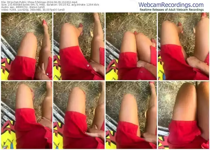 stripchat-felinae-08-28-2024-10-22-02