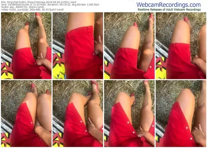 stripchat-felinae-08-28-2024-10-35-11