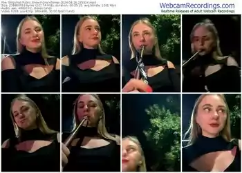 stripchat-gracetorrez-08-28-2024-23-53-24