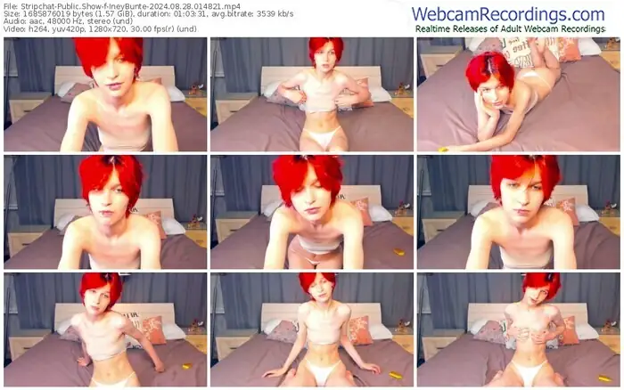 stripchat-ineybunte-08-28-2024-01-48-21