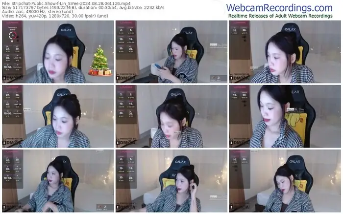 stripchat-lin_siyee-08-28-2024-06-11-26