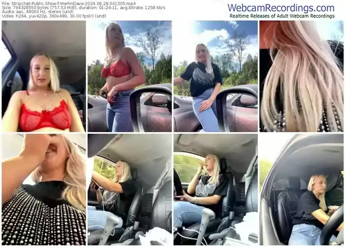 stripchat-merlindave-08-28-2024-04-13-05