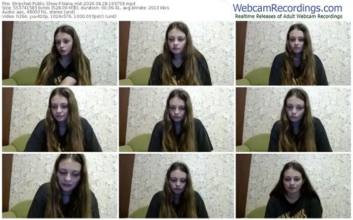 stripchat-nana_hot-08-28-2024-16-37-59