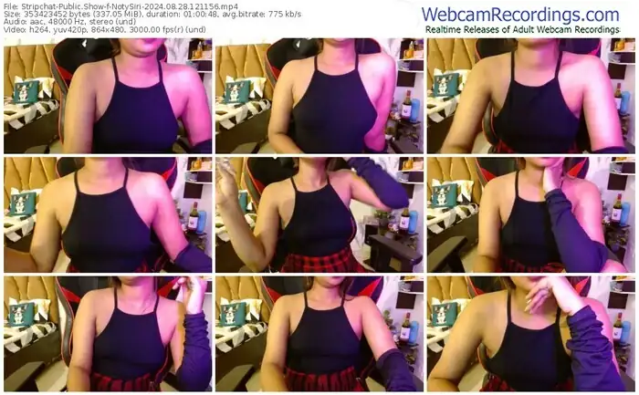 stripchat-notysiri-08-28-2024-12-11-56