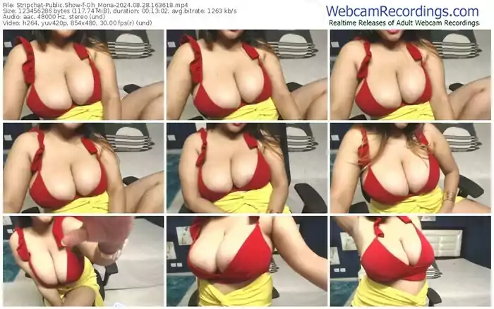 stripchat-oh_mona-08-28-2024-16-36-18