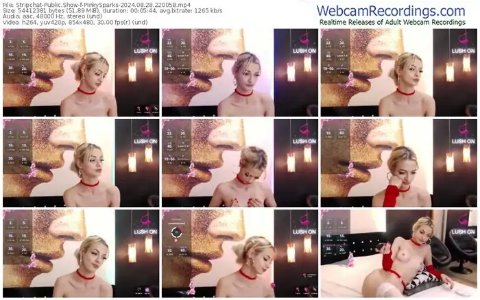 stripchat-pinkysparks-08-28-2024-22-00-58