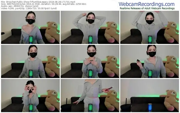 stripchat-plumlikelegacy-08-28-2024-17-17-01