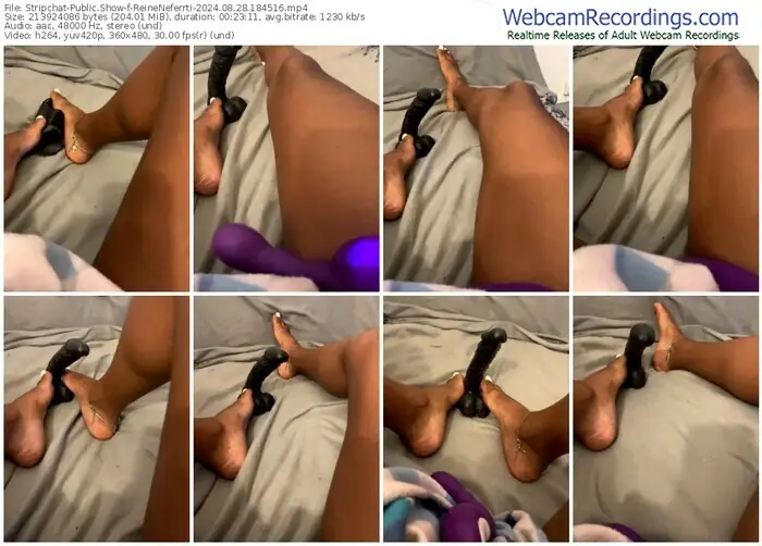 stripchat-reineneferrti-08-28-2024-18-45-16