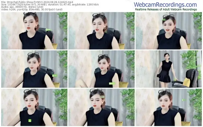 stripchat-viwvi-08-28-2024-12-46-20