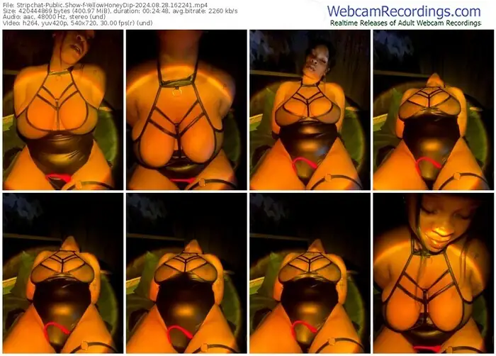 stripchat-yellowhoneydip-08-28-2024-16-22-41