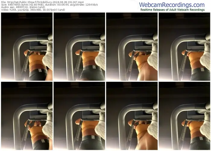 stripchat-f3ckdolllucy-08-28-2024-19-12-47