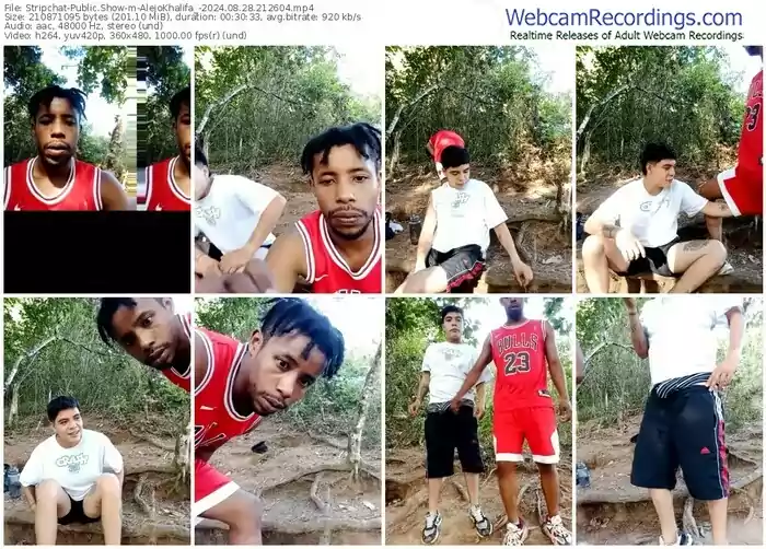 stripchat-alejokhalifa_-08-28-2024-21-26-04