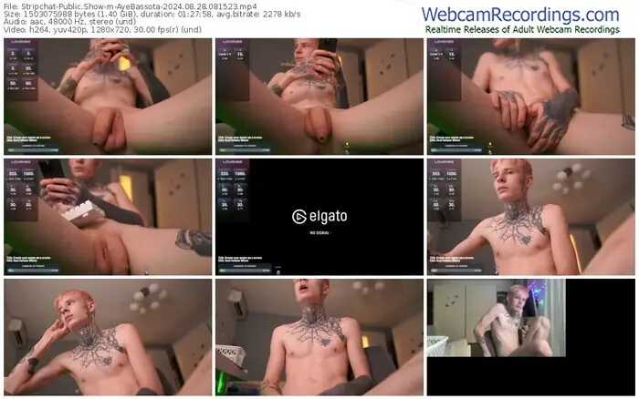 stripchat-ayebassota-08-28-2024-08-15-23