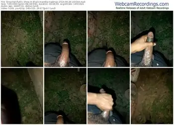 stripchat-black-mamba-madingo-08-28-2024-18-33-04