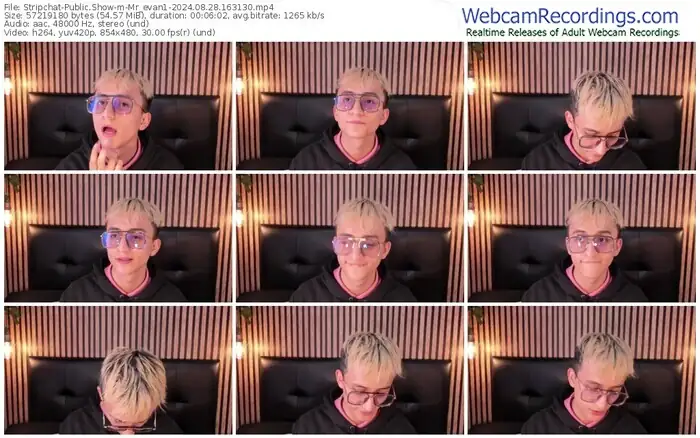 stripchat-mr_evan1-08-28-2024-16-31-30