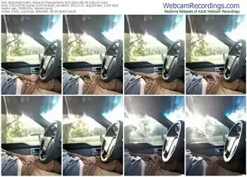 stripchat-themechanic420-08-28-2024-13-01-12