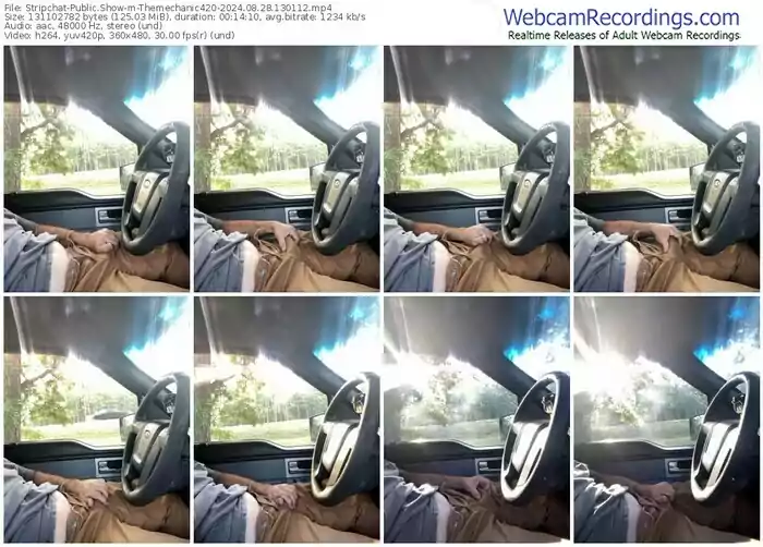 stripchat-themechanic420-08-28-2024-13-01-12