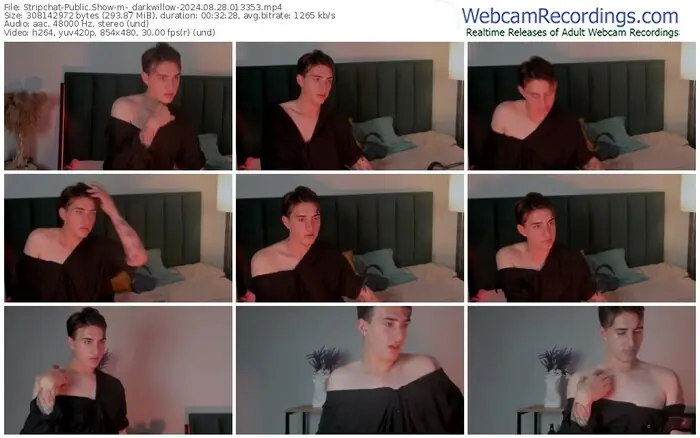 stripchat-_darkwillow-08-28-2024-01-33-53