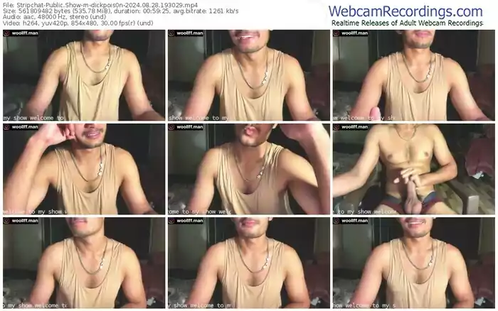 stripchat-dickpois0n-08-28-2024-19-30-29