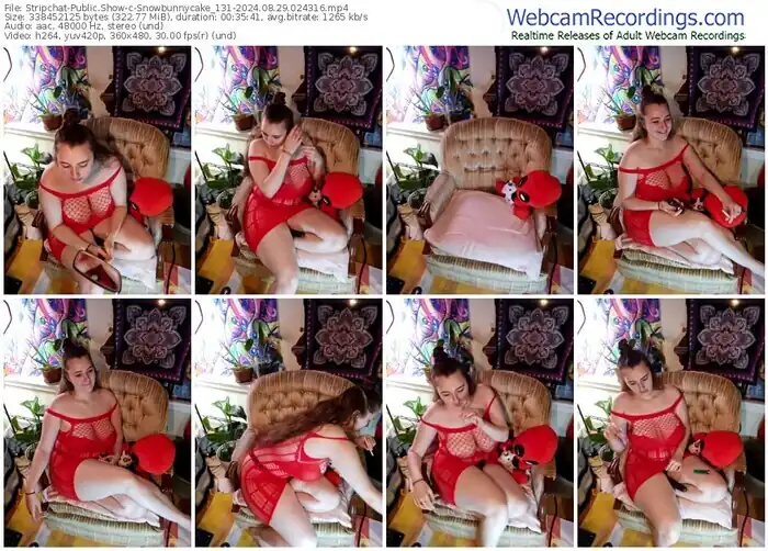 stripchat-snowbunnycake_131-08-29-2024-02-43-16