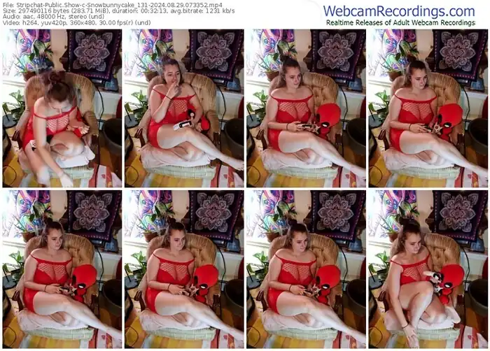 stripchat-snowbunnycake_131-08-29-2024-07-33-52