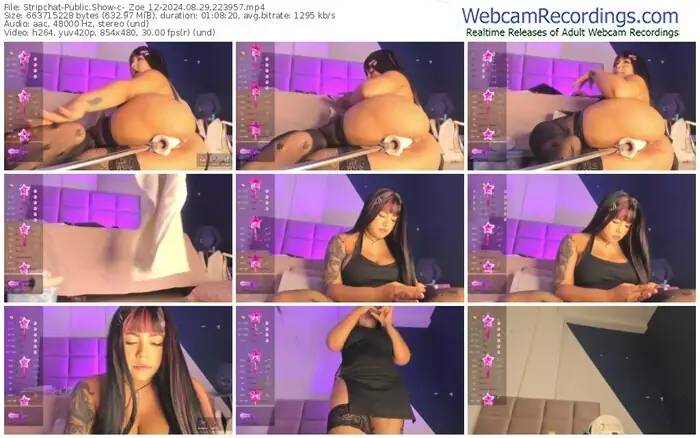 stripchat-_zoe_12-08-29-2024-22-39-57