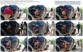 stripchat-darlingluky-08-29-2024-20-44-51