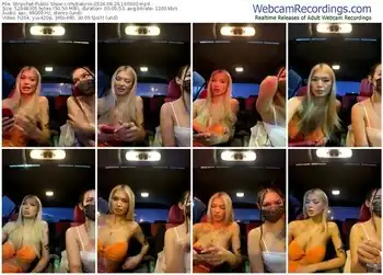 stripchat-shybabyss-08-29-2024-16-09-00