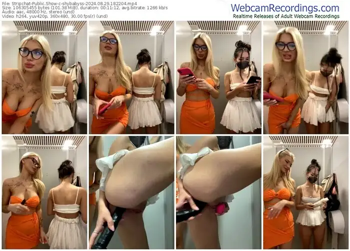 stripchat-shybabyss-08-29-2024-18-22-04