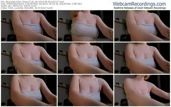 stripchat-call_yes-08-29-2024-03-51-17