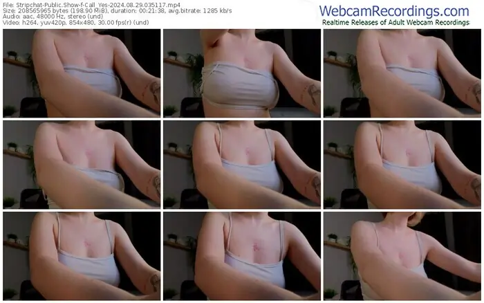 stripchat-call_yes-08-29-2024-03-51-17