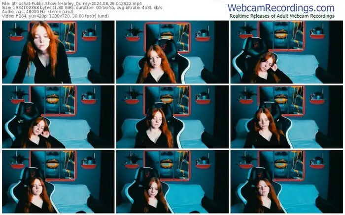 stripchat-harley_quinsy-08-29-2024-04-29-22