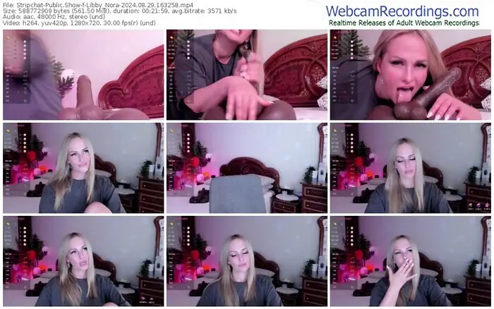 stripchat-libby_nora-08-29-2024-16-32-58