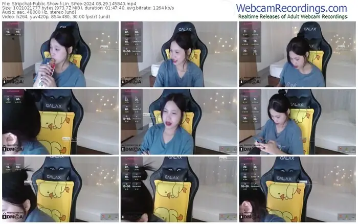 stripchat-lin_siyee-08-29-2024-14-58-40