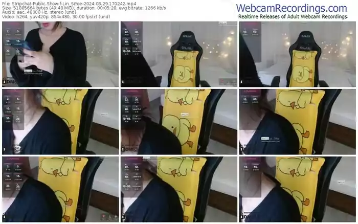 stripchat-lin_siyee-08-29-2024-17-02-42