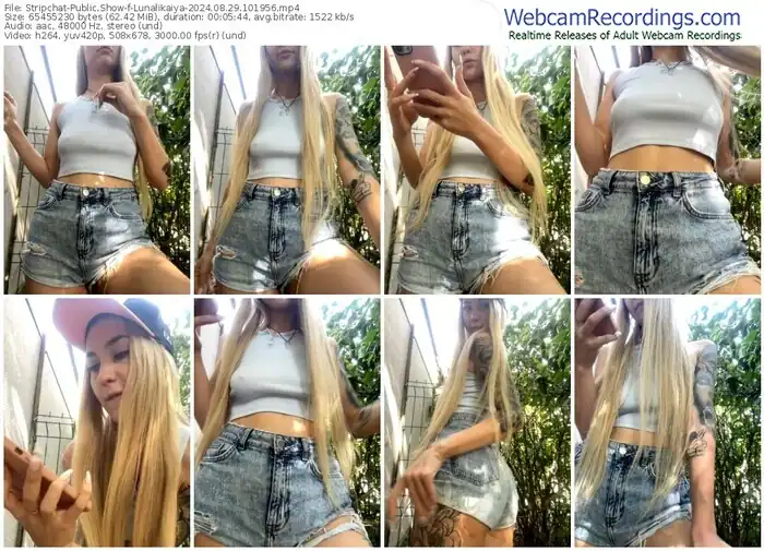 stripchat-lunalikaiya-08-29-2024-10-19-56