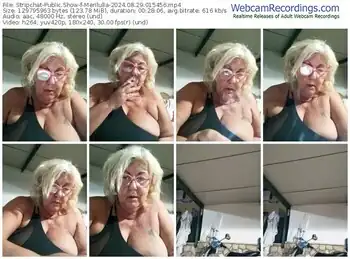 stripchat-merilulla-08-29-2024-01-54-56