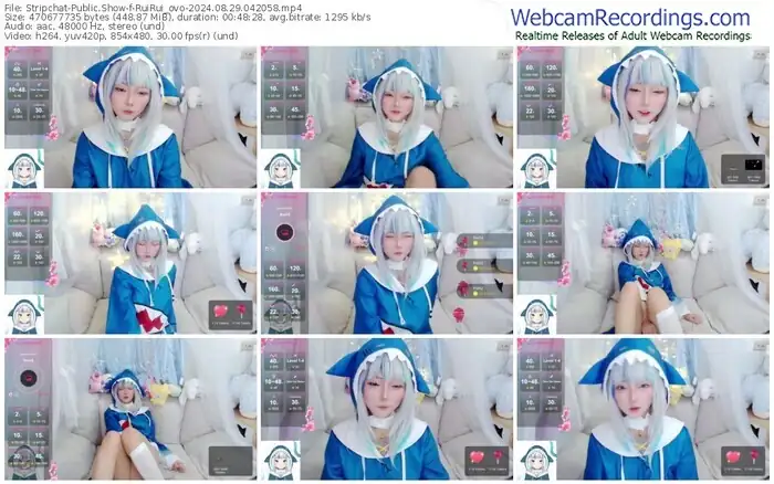 stripchat-ruirui_ovo-08-29-2024-04-20-58