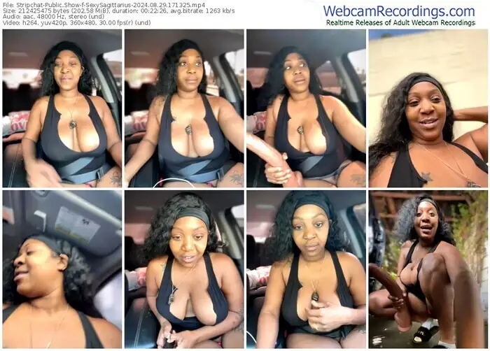 stripchat-sexysagittarius-08-29-2024-17-13-25